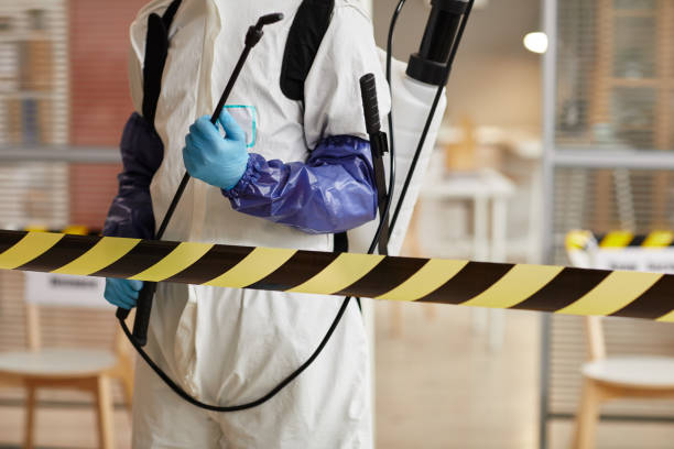Professional Sewage Cleanup technician working in La Porte, TX